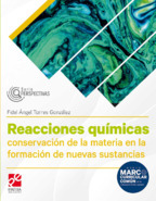 Book cover Reacciones Químicas