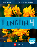 Book cover Lingua 4