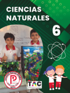 Book cover Naturales 6
