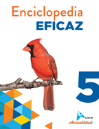 Enciclopedia Eficaz 5