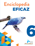 Enciclopedia Eficaz 6